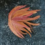 20x20inches - Medusa Kozo paper-Eucalypt leaves